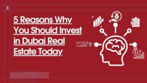 Read more about the article 5 Reasons Why You Should Invest in Dubai Real Estate Today